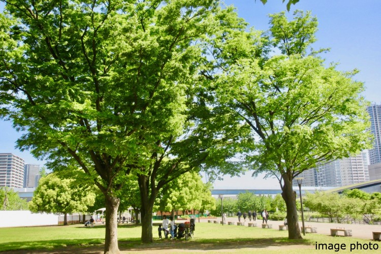 公園のイメージ画像